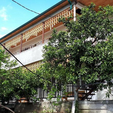 Inzhir Guest House New Athos Buitenkant foto