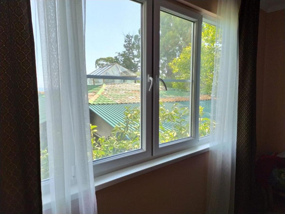 Inzhir Guest House New Athos Buitenkant foto