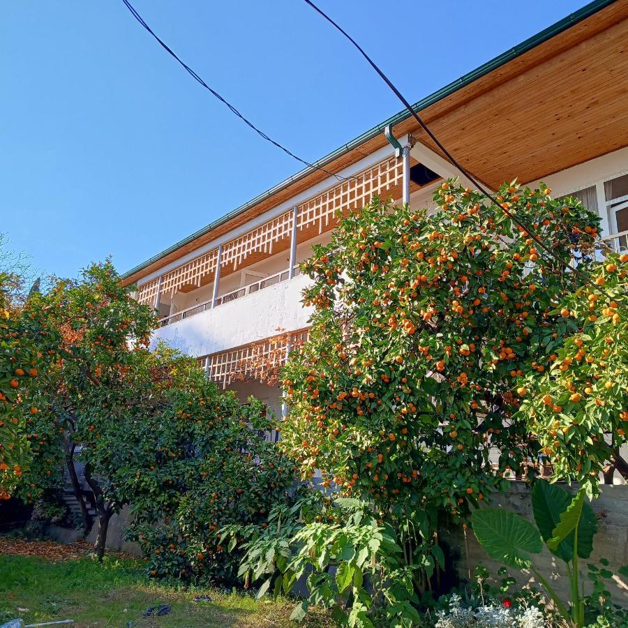 Inzhir Guest House New Athos Buitenkant foto