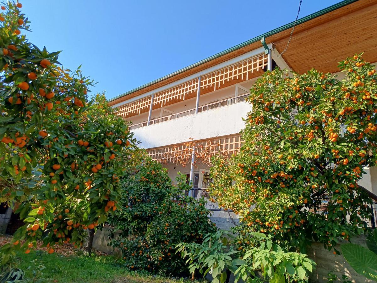 Inzhir Guest House New Athos Buitenkant foto
