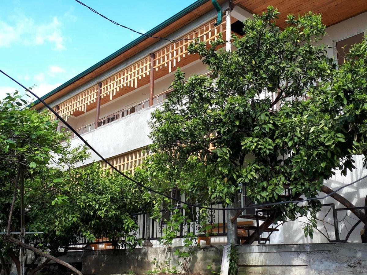 Inzhir Guest House New Athos Buitenkant foto